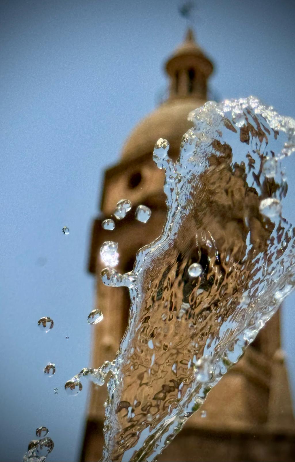 1º MEJOR FOTO OBLIGATORIA DOLORES ADAMUZ RUIZ.jpg